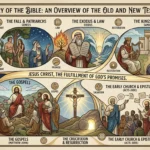 What Does the Bible Say