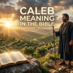 Caleb Meaning in the Bible