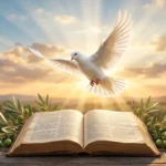 Dove Meaning in Bible
