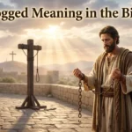 Flogged Meaning in the Bible