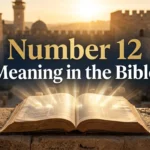 Number 12 Meaning in the Bible