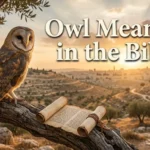 Owl Meaning in the Bible