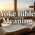 Yoke Bible Meaning