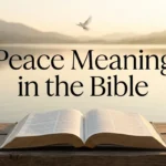 Peace Meaning in the Bible